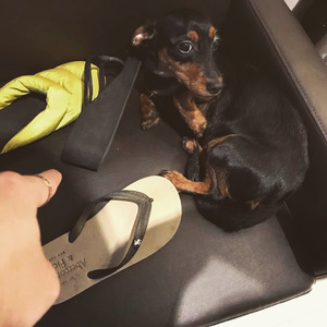 亚洲精品久久久
